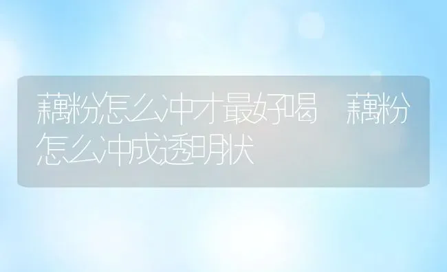 藕粉怎么冲才最好喝 藕粉怎么冲成透明状 | 养殖资料投稿