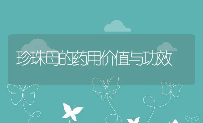 珍珠母的药用价值与功效 | 养殖资料投稿