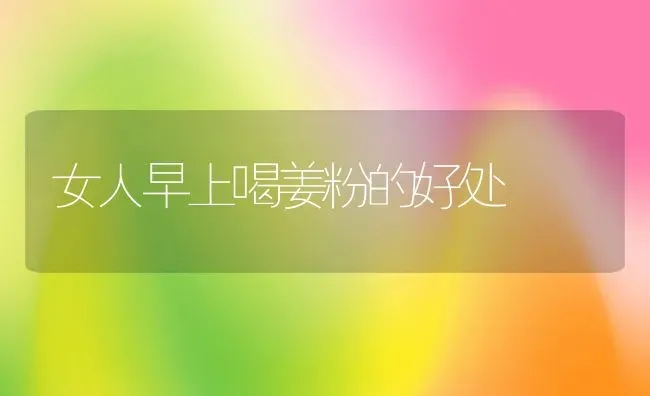 女人早上喝姜粉的好处 | 养殖资料投稿