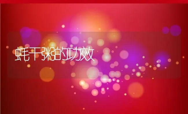 蚝干粥的功效 | 养殖资料投稿