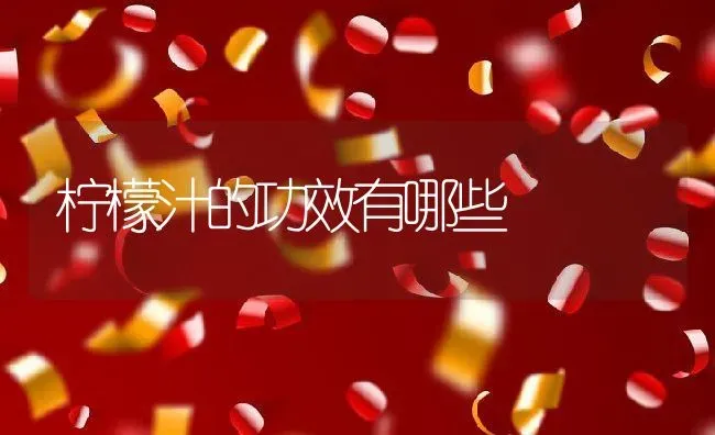 柠檬汁的功效有哪些 | 养殖资料投稿