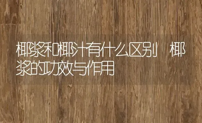 椰浆和椰汁有什么区别 椰浆的功效与作用 | 养殖资料投稿