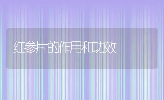 红参片的作用和功效 | 养殖资料投稿