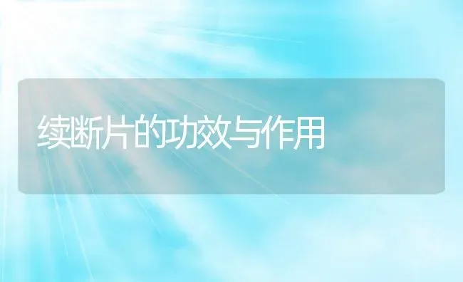 续断片的功效与作用 | 养殖资料投稿