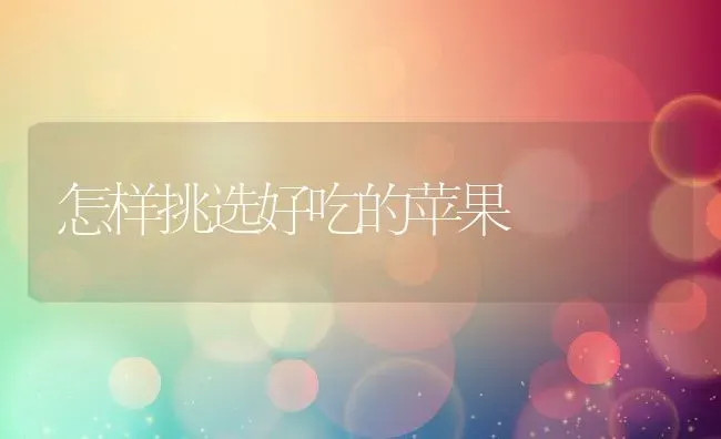 怎样挑选好吃的苹果 | 养殖资料投稿