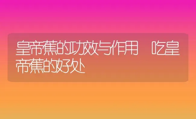 皇帝蕉的功效与作用 吃皇帝蕉的好处 | 养殖资料投稿
