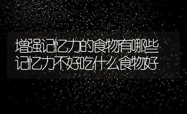 增强记忆力的食物有哪些 记忆力不好吃什么食物好 | 养殖资料投稿