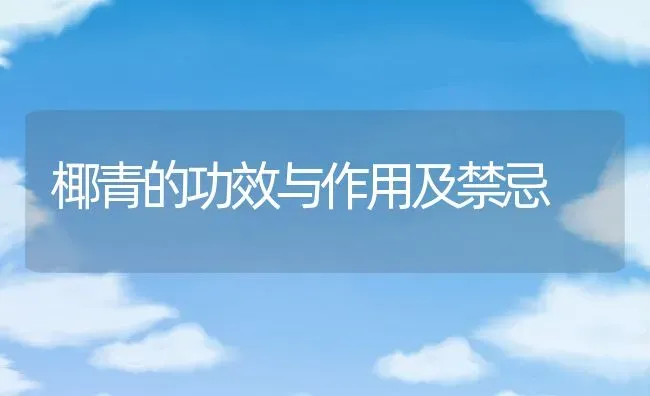 椰青的功效与作用及禁忌 | 养殖资料投稿