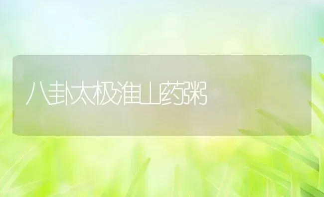 八卦太极淮山药粥 | 养殖资讯