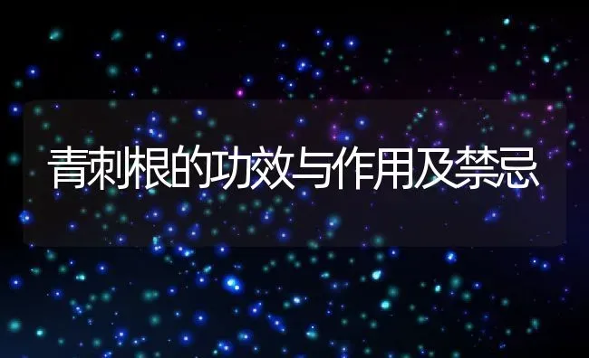 青刺根的功效与作用及禁忌 | 养殖资料投稿
