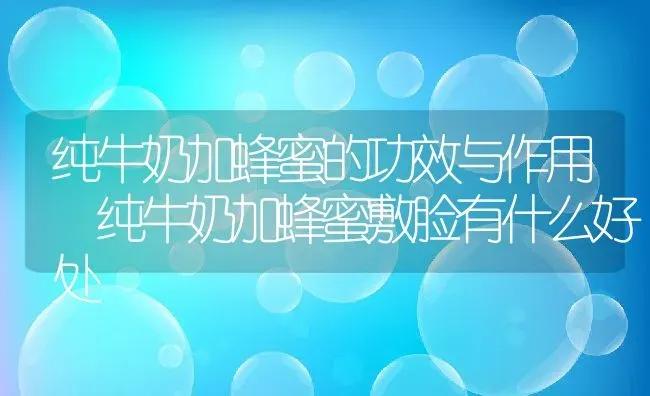 纯牛奶加蜂蜜的功效与作用 纯牛奶加蜂蜜敷脸有什么好处 | 养殖资料投稿