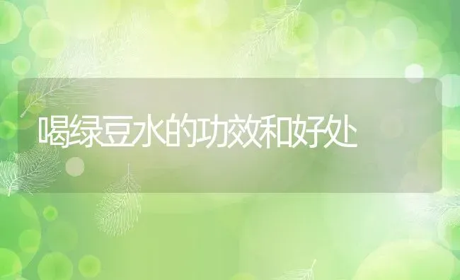 喝绿豆水的功效和好处 | 养殖资料投稿