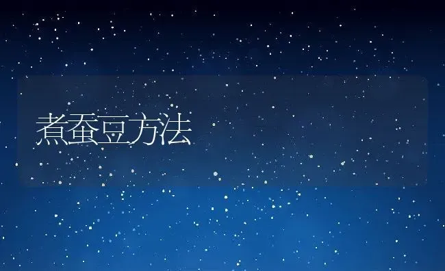 煮蚕豆方法 | 养殖资讯