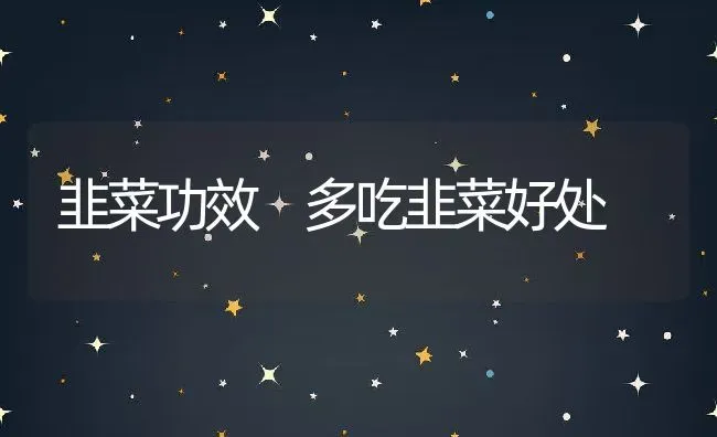 韭菜功效 多吃韭菜好处 | 养殖资料投稿