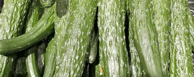 温室黄瓜“落蔓”技巧