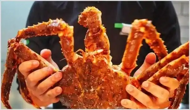 帝王蟹多少钱一斤？为什么这么贵？帝王蟹养殖前景如何 | 致富养殖项目