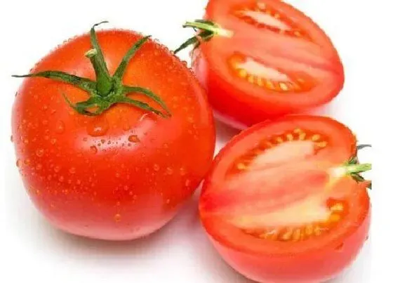 蔬菜|广西蔬菜品种图片 广西特色蔬菜种类大全