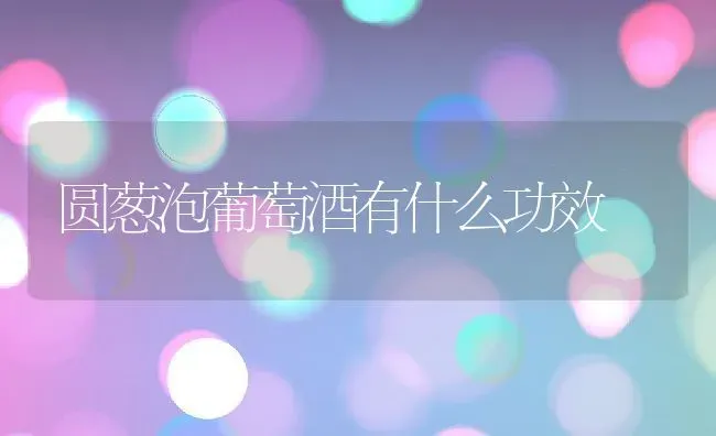 圆葱泡葡萄酒有什么功效 | 养殖资料投稿