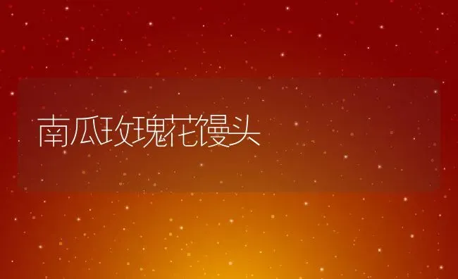 南瓜玫瑰花馒头 | 养殖资料投稿