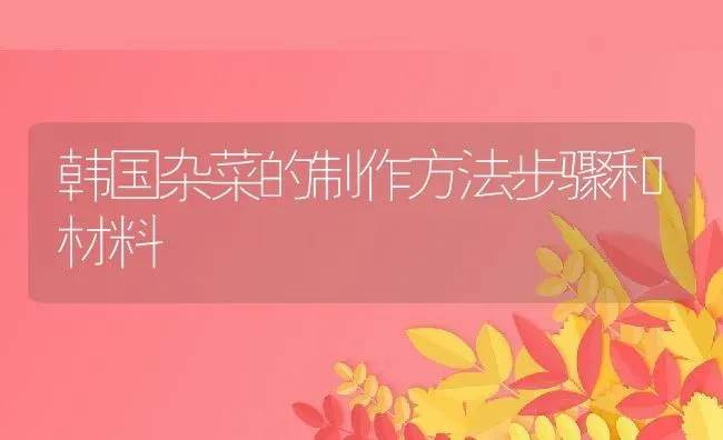 韩国杂菜的制作方法步骤和材料 | 养殖资料投稿