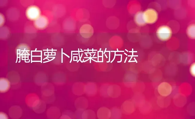 腌白萝卜咸菜的方法 | 养殖资料投稿