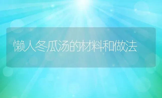 懒人冬瓜汤的材料和做法 | 养殖资料投稿