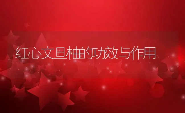 红心文旦柚的功效与作用 | 养殖资料投稿