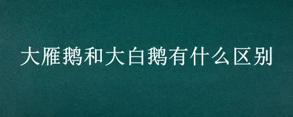 大雁鹅和大白鹅有什么区别