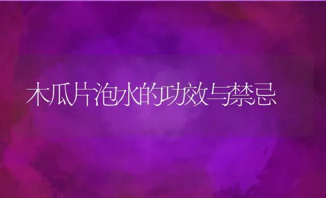 木瓜片泡水的功效与禁忌 | 养殖资料投稿