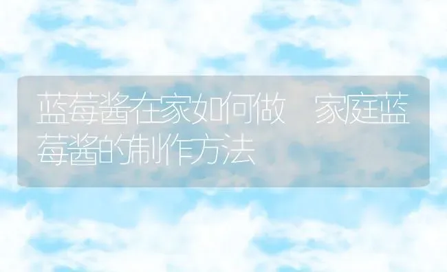 蓝莓酱在家如何做 家庭蓝莓酱的制作方法 | 养殖资料投稿