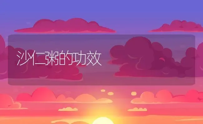 沙仁粥的功效 | 养殖资讯