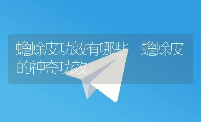蟾蜍皮功效有哪些 蟾蜍皮的神奇功效 | 养殖资料投稿