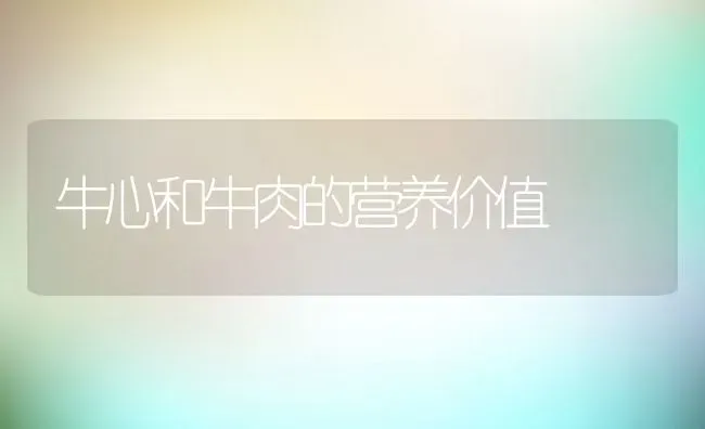 牛心和牛肉的营养价值 | 养殖资料投稿