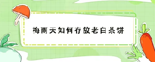 梅雨天如何存放老白茶饼