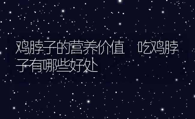鸡脖子的营养价值 吃鸡脖子有哪些好处 | 养殖资料投稿
