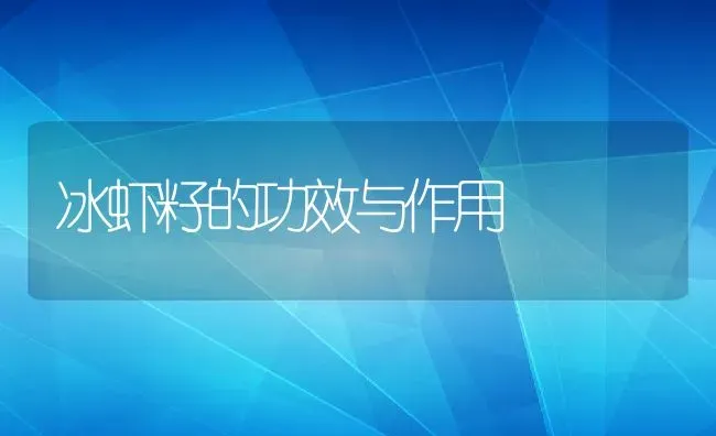 冰虾籽的功效与作用 | 养殖资料投稿