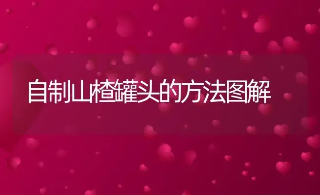 自制山楂罐头的方法图解 | 养殖资料投稿