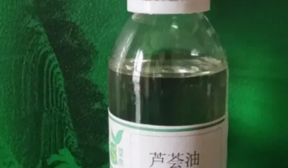 芦荟油怎么使用 芦荟油的正确用法