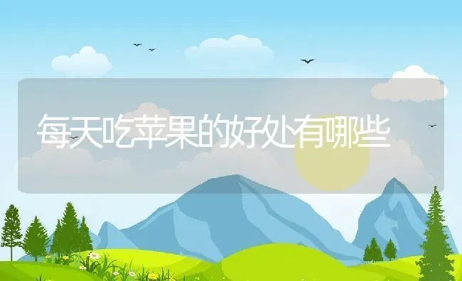 每天吃苹果的好处有哪些 | 养殖资料投稿