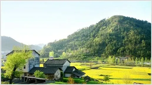 现在农村有什么创业项目？这5个项目“钱”景可观！ | 热门养殖项目