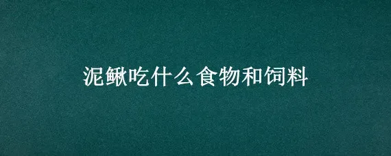 泥鳅吃什么食物和饲料