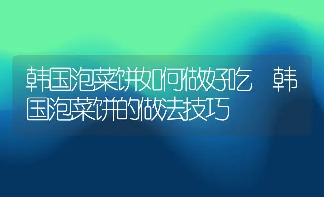 韩国泡菜饼如何做好吃 韩国泡菜饼的做法技巧 | 养殖资料投稿