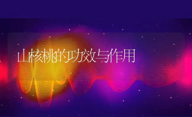 山核桃的功效与作用 | 养殖资料投稿