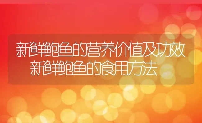 新鲜鲍鱼的营养价值及功效 新鲜鲍鱼的食用方法 | 养殖资料投稿