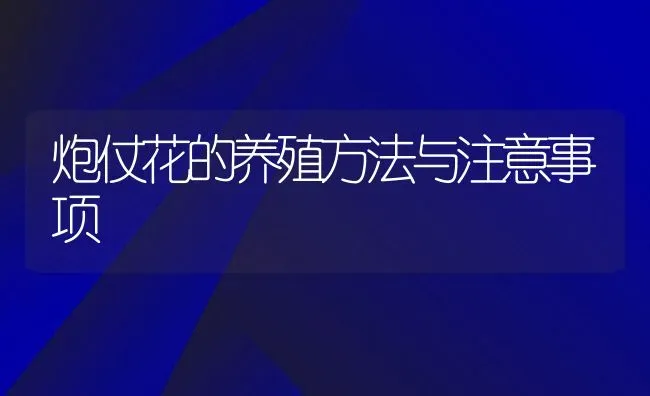 炮仗花的养殖方法与注意事项 | 养殖资料投稿