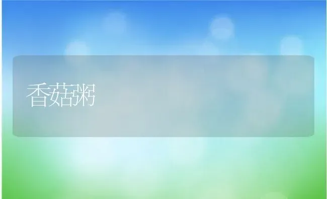 香菇粥 | 养殖资讯
