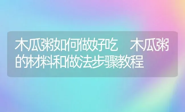 木瓜粥如何做好吃 木瓜粥的材料和做法步骤教程 | 养殖资讯