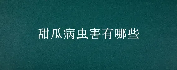 甜瓜病虫害有哪些