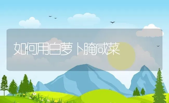 如何用白萝卜腌咸菜 | 养殖资料投稿