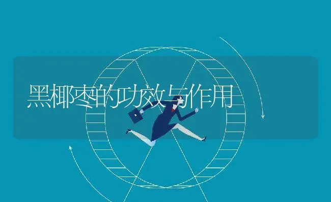 黑椰枣的功效与作用 | 养殖资料投稿